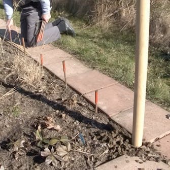 pileflet stolper pileflet stolper